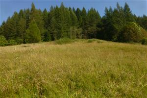 celkový pohľad na lokalitu